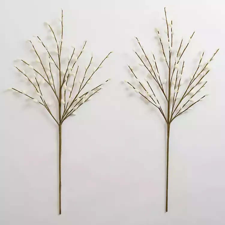 Hot Cream Willow Stems, Set of 2 Stems & Bouquets