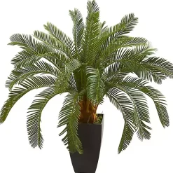 Discount Cycas Floor Plant in Tall Black Planter, 30 in. Trees & Topiaries