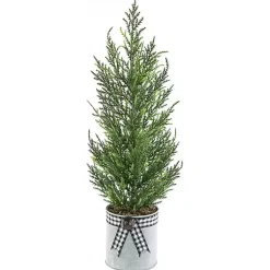 Cypress Mini Potted Christmas Tree Christmas Arrangements & Garland