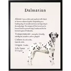 Kirklands Home Wall Quotes & Signs|Dalmation Facts Framed Wall Plaque