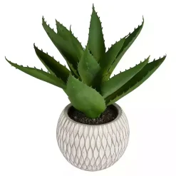 Deep Aloe Leaves in Ceramic Container Arrangements & Greenery