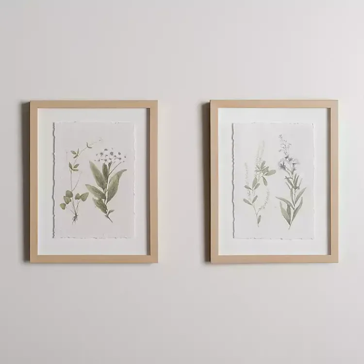 Kirklands Home Framed Art|Delicate Botanical Framed Art Prints, Set of 2 White