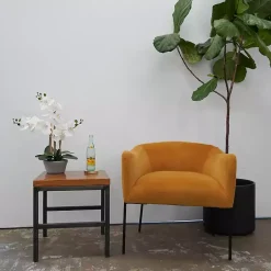 Clearance Desktop Orchid Arrangement in Gray Planter Arrangements & Greenery