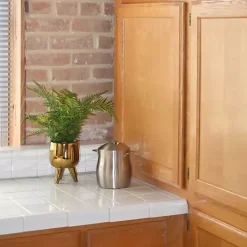 New Desktop Palm Plant in Gold Planter Arrangements & Greenery