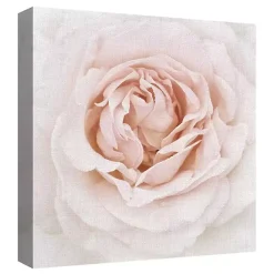 Kirklands Home Canvas Art|Dewdrop Rose Canvas Art Print Pink