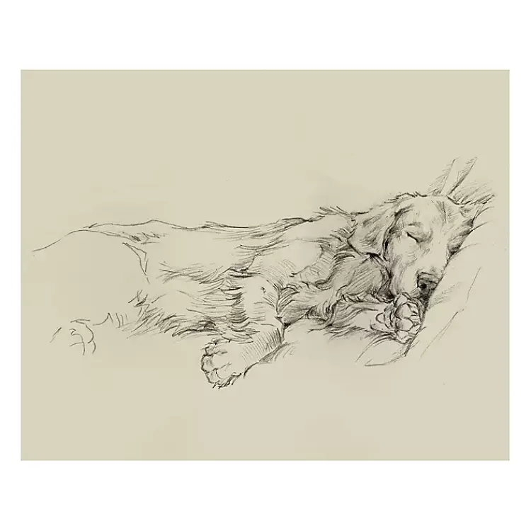 Kirklands Home Canvas Art|Dog Days III Canvas Art Print