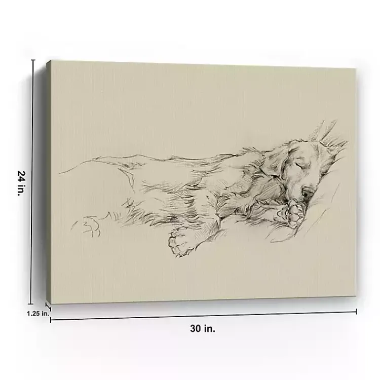 Kirklands Home Canvas Art|Dog Days III Canvas Art Print