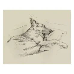 Kirklands Home Canvas Art|Dog Days IV Canvas Art Print