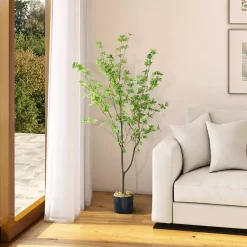 Hot Douban Tree in Black Pot, 5 ft. Trees & Topiaries