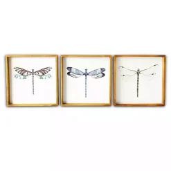 Kirklands Home Framed Art|Dragonfly Framed Art Prints, Set of 3