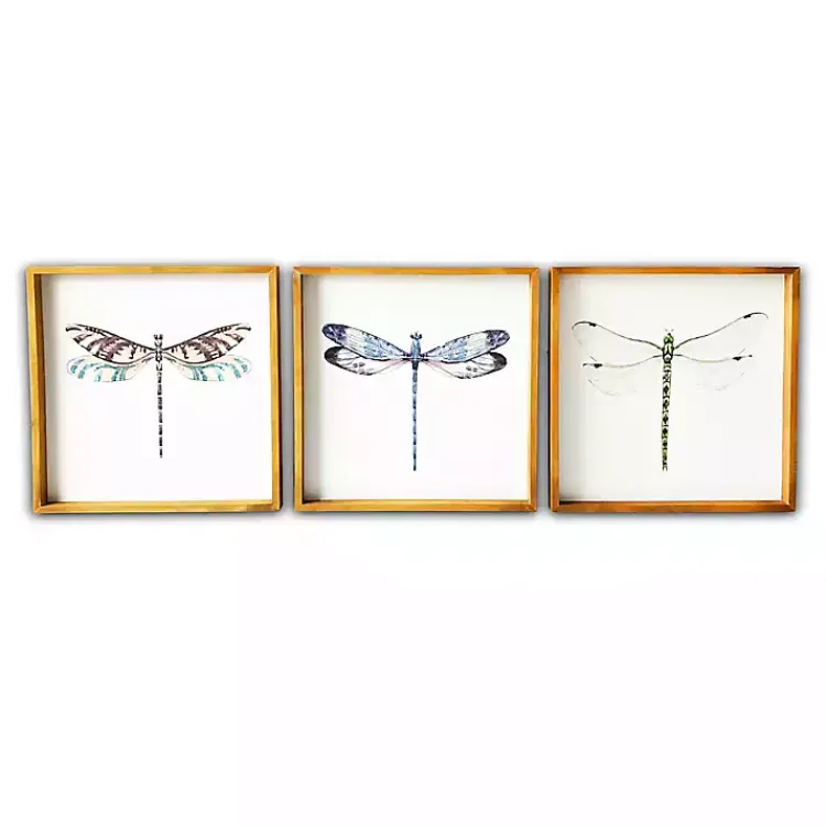 Kirklands Home Framed Art|Dragonfly Framed Art Prints, Set of 3