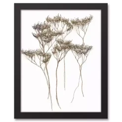 Kirklands Home Canvas Art|Dried Florals 4-pc. Framed Canvas Art Print Set White