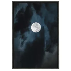 Kirklands Home Canvas Art|Driftless Moon Framed Canvas Art Print