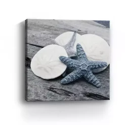 Kirklands Home Canvas Art|Driftwood Shell IV Canvas Art Print, 30x30 in.