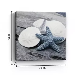 Kirklands Home Canvas Art|Driftwood Shell IV Canvas Art Print, 30x30 in.