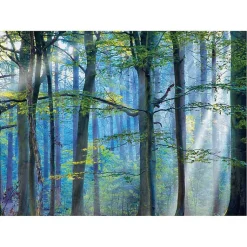 Kirklands Home Canvas Art|Enchanted Forest Canvas Print by Lars Van De Goor