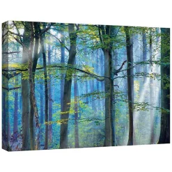Kirklands Home Canvas Art|Enchanted Forest Canvas Print by Lars Van De Goor