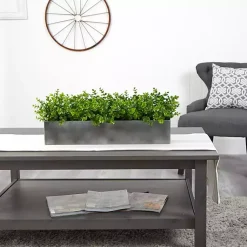 Online Eucalyptus Arrangement in Gray Planter Box Arrangements & Greenery