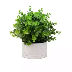 Discount Eucalyptus Arrangement in White Decorative Pot Arrangements & Greenery