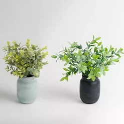 Online Eucalyptus Arrangements in Mason Jars, Set of 2 Arrangements & Greenery