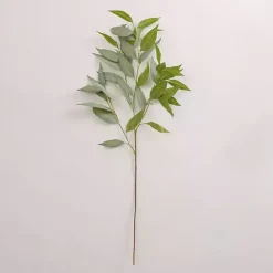 Clearance Eucalyptus Spray, 37 in. Stems & Bouquets