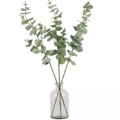 Online Eucalyptus Sprays, Set of 3 Stems & Bouquets