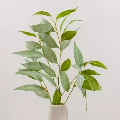 Eucalyptus Sprays, Set of 2 Stems & Bouquets