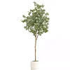 Online Eucalyptus Tree in White Planter, 6 ft. Trees & Topiaries
