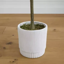 Online Eucalyptus Tree in White Planter, 6 ft. Trees & Topiaries