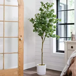 Online Eucalyptus Tree in White Planter, 6 ft. Trees & Topiaries
