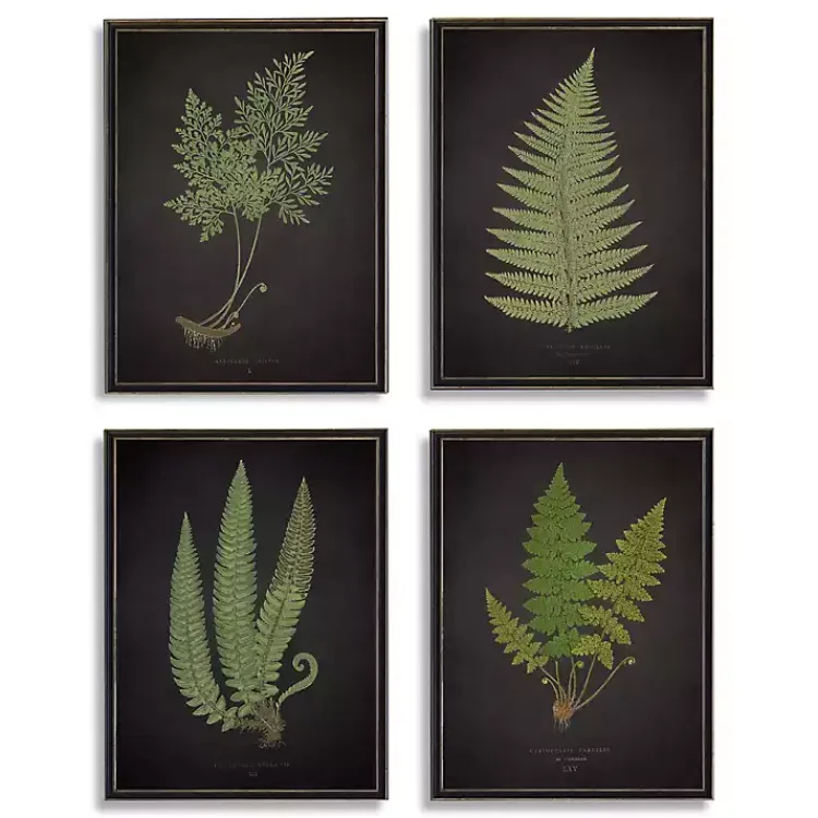 Kirklands Home Framed Art|Fern Framed Art Prints, Set of 4