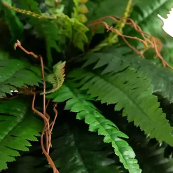 New Fern in Gold Metal Planter Arrangements & Greenery