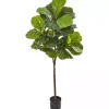 Online Fiddle Fig Leaf Real Touch Tree, 54 in. Trees & Topiaries