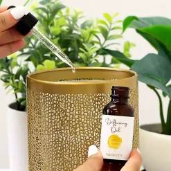 Online Fierce 2-Pack Essential Oil Home Fragrance