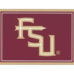 Kirklands Home Area Rugs|Florida State University Area Rug, 4x6 Red