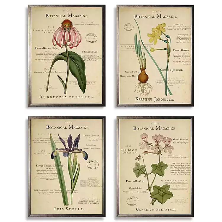 Kirklands Home Framed Art|Flower Magazine Framed Art Prints, Set of 4