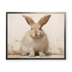 Clearance Fluffy Bunny Framed Art Print Easter Decorations