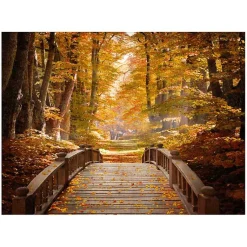Kirklands Home Canvas Art|Forest Escape Giclee Canvas Art Print