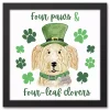 Four Paws and Clovers Framed Canvas Art Print St Patricks Day Decorations