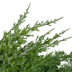 Hot Frosted Cedar Pinecone Wreath Christmas Wreaths