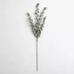 New Frosted Eucalyptus Stem Stems & Bouquets