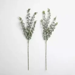Sale Frosted Eucalyptus Stems, Set of 2 Stems & Bouquets