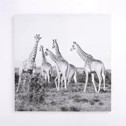 Kirklands Home Canvas Art|Giraffes in the Wild Canvas Art Print
