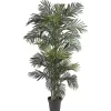Online Golden Cane Palm Silk Tree, 6.5 ft. Trees & Topiaries