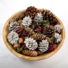 Hot Grand Pine Cone Potpourri Home Fragrance