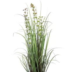 Grass and Eucalyptus Potted Plant Trees & Topiaries