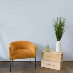 Outlet Grass Arrangement in Ringed White Pot, 36 in. Arrangements & Greenery