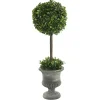 Clearance Gray Boxwood Pedestal Urn Topiary, 2 ft. Trees & Topiaries