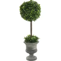 Clearance Gray Boxwood Pedestal Urn Topiary, 2 ft. Trees & Topiaries