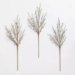 Best Willow Stems, Set of 3 Stems & Bouquets